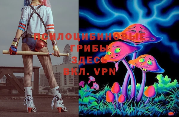 гидропоника Алексеевка