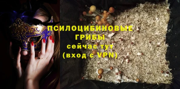 мяу мяу мука Алзамай