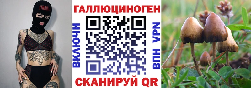 блэк спрут онион  Добрянка  Псилоцибиновые грибы MAGIC MUSHROOMS  цены наркотик 