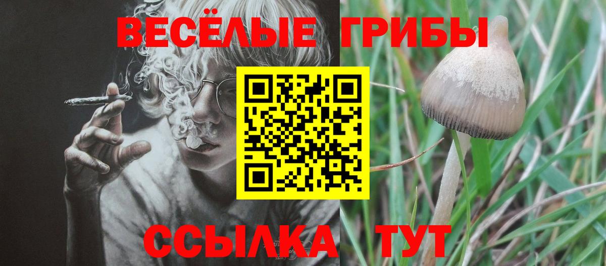 Псилоцибиновые грибы MAGIC MUSHROOMS  Вход с VPN  Добрянка 