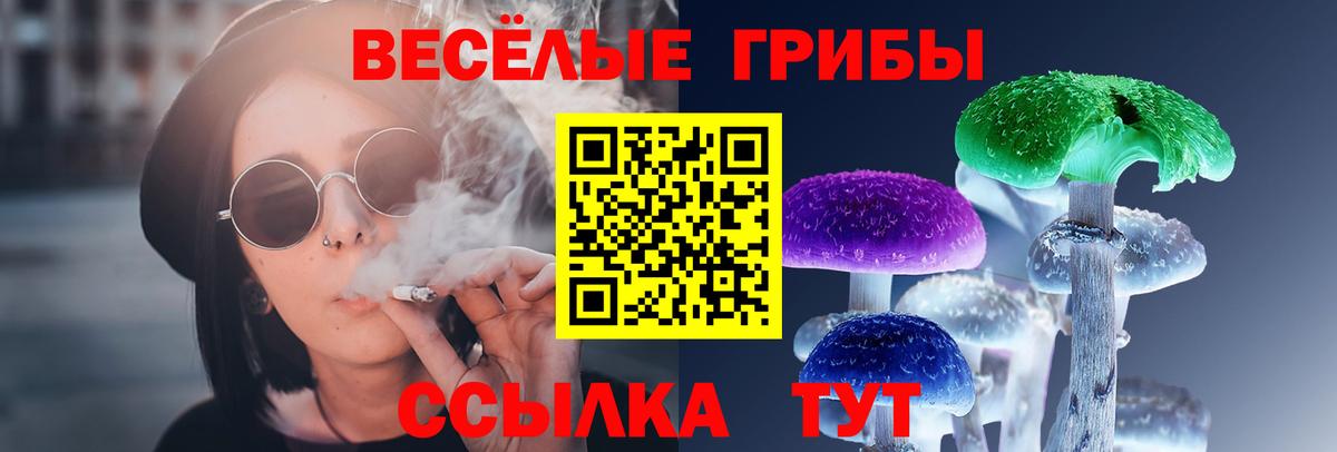 Галлюциногенные грибы мицелий Добрянка