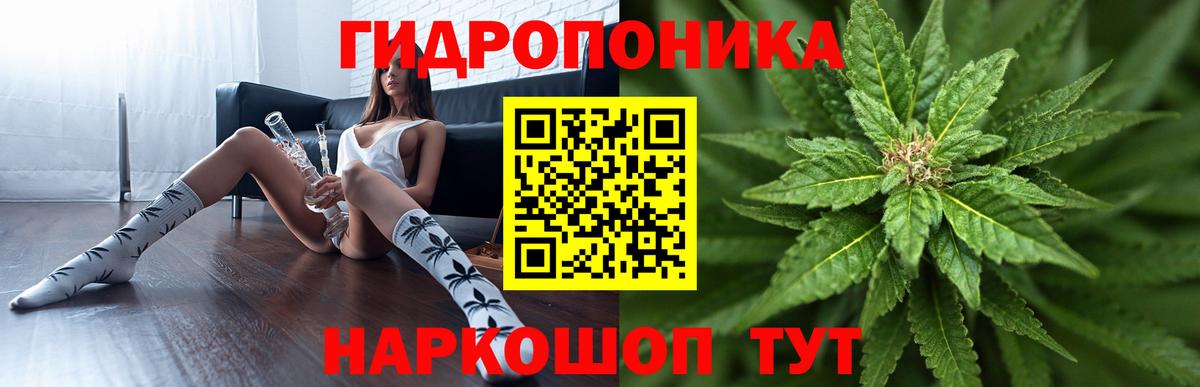 Канабис конопля Добрянка